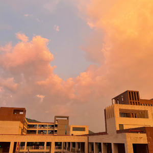 欧洲美女与动交CCOO
